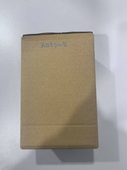 图片 Orthotics